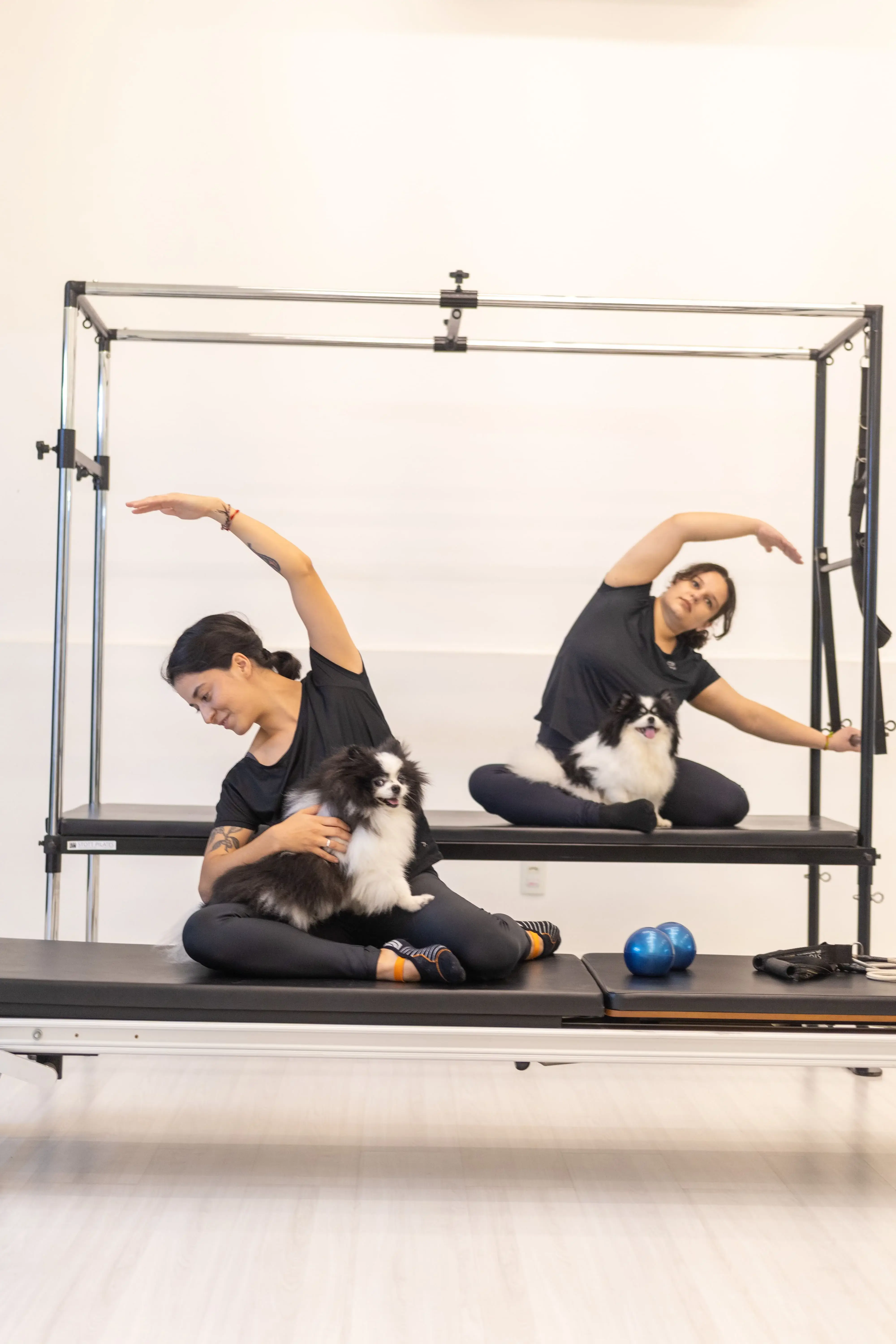 Alunas praticando Pilates com seus cães no studio Villati